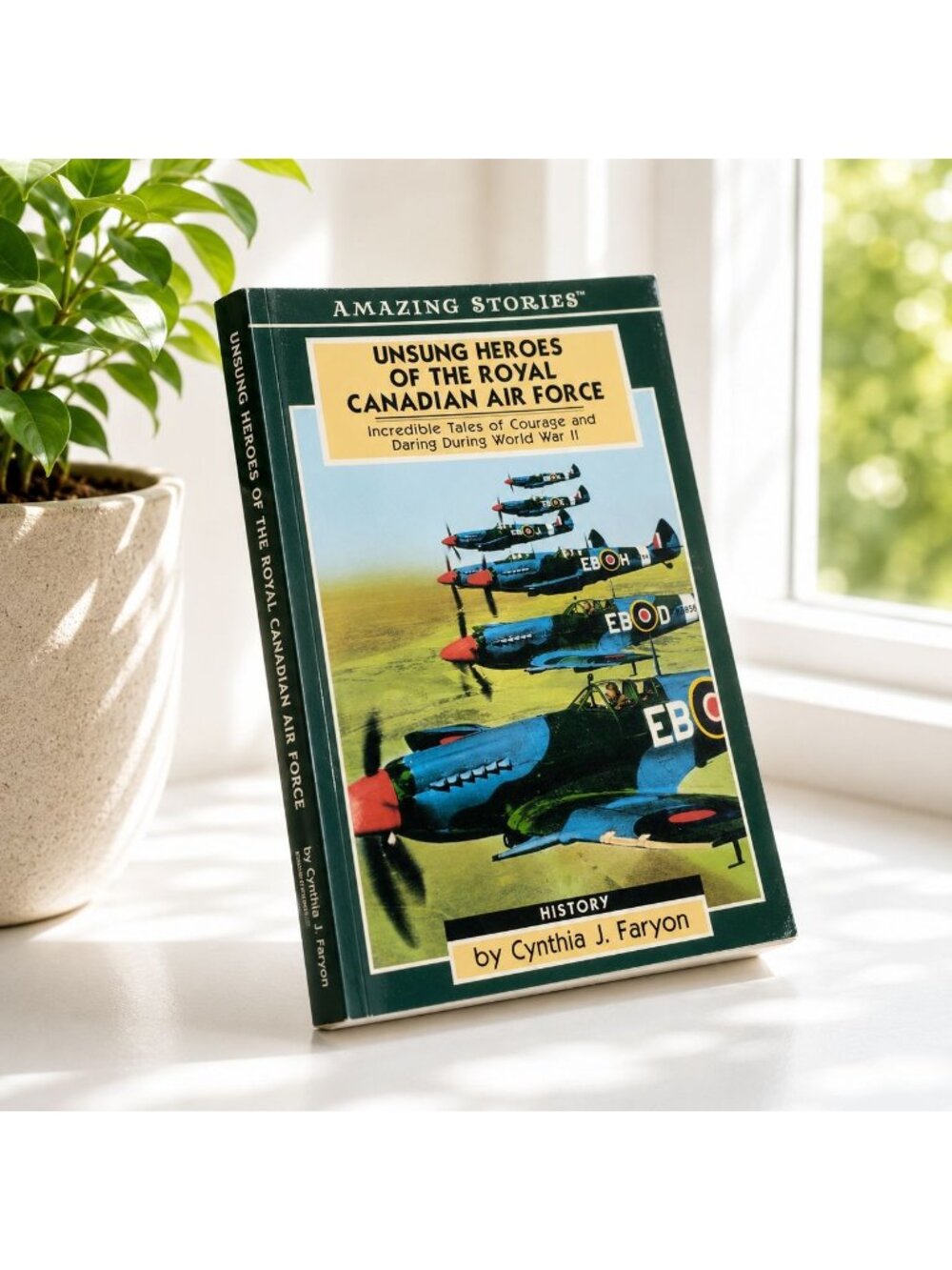 Unsung Heroes Of The Royal Canadian Air Force By Cynthia J. Faryon - Amazing Sto